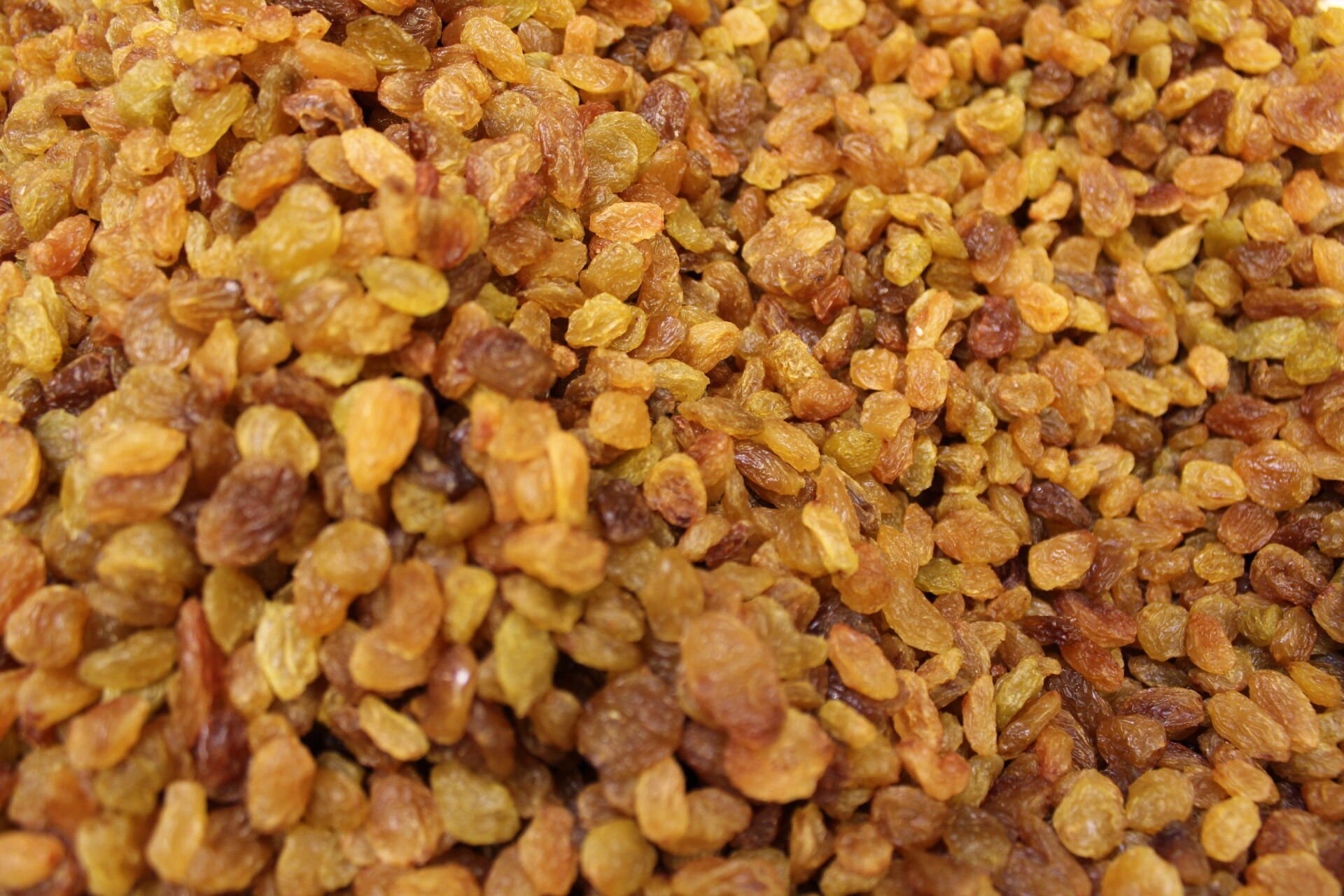 ÇEKİRDEKSİZ İZMİR ÜZÜMÜ