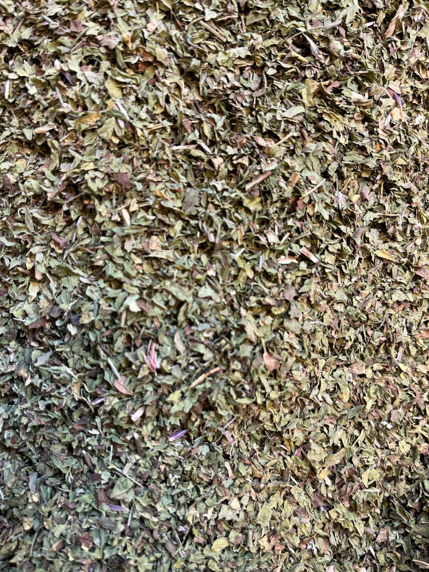 ÖĞÜTÜLMÜŞ DAĞ NANESİ