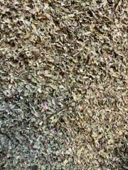 ÖĞÜTÜLMÜŞ DAĞ NANESİ