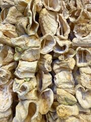 DOLMALIK KABAK KURUSU