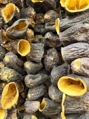 DOLMALIK PATLICAN KURUSU