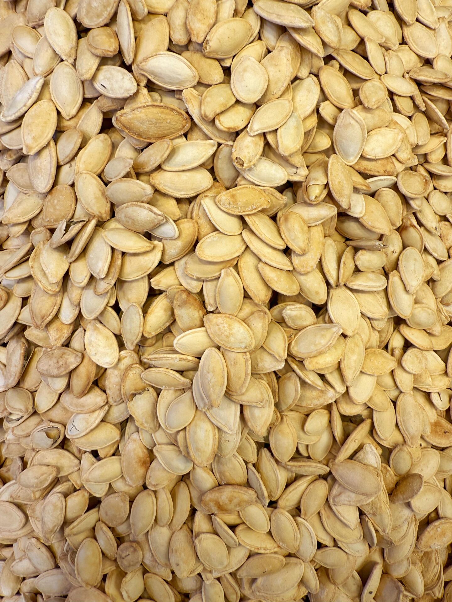 TUZLU KABAK ÇEKİRDEĞİ