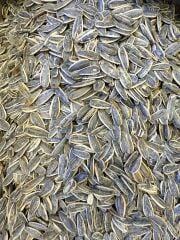 SİYAH TUZLU AY ÇEKİRDEK